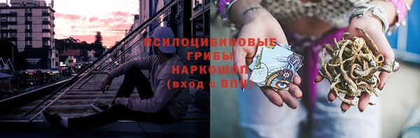 ПСИЛОЦИБИНОВЫЕ ГРИБЫ Баксан